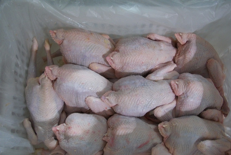 Halal Frozen Whole Chicken Buy halal frozen whole chicken for best