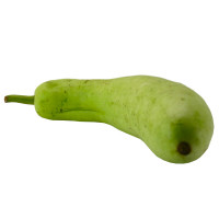 Organic Bottle Gourd