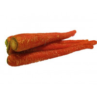 Organic Carrot Red