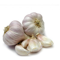 Organic Garlic