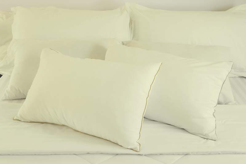 Poly Cotton Pillows