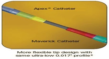 APEX OTW PTCA Balloon Catheter