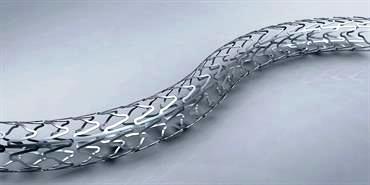 Bare Metal Stent Kaname