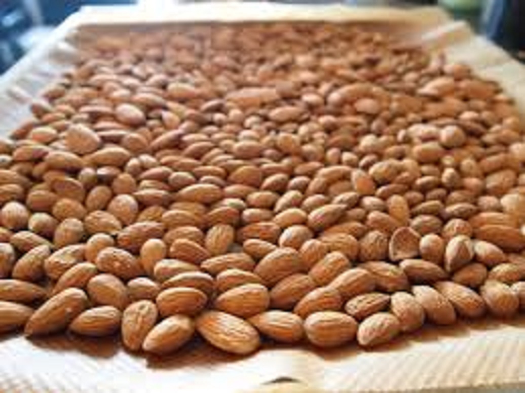 Almond Nuts