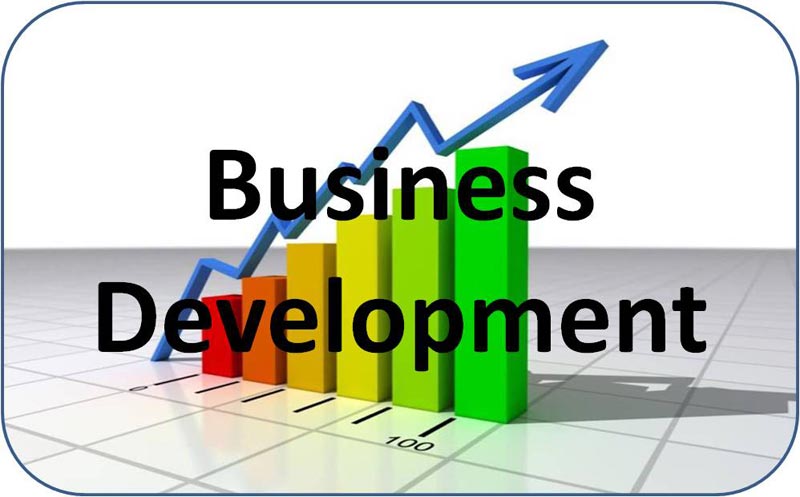 business development services