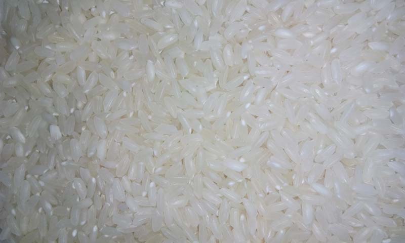 Soltex Masoori Rice