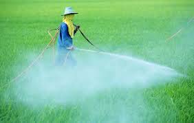 Inorganic Pesticides