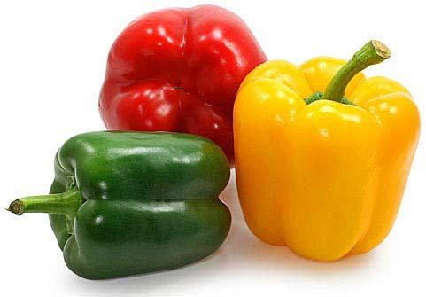 fresh capsicum