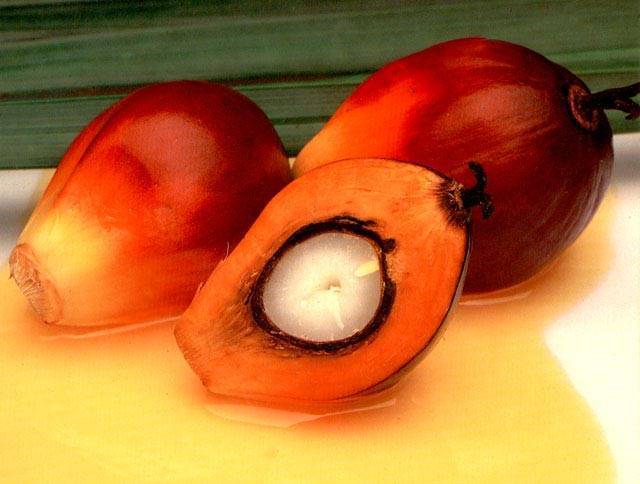 Crude/ Refined Palm Oil