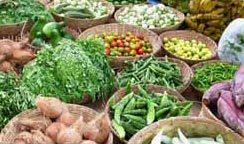 Indian Fresh Vegetables