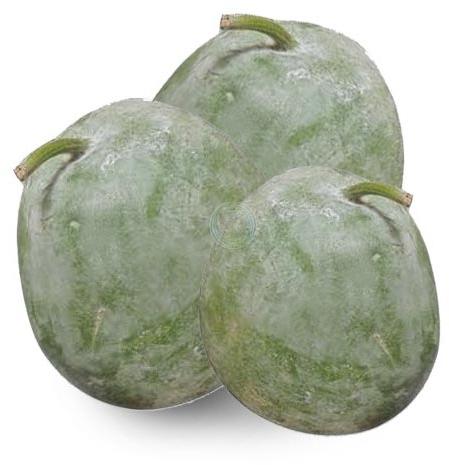 Ash Gourd