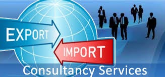 Export Import Consulting Services