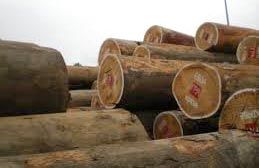 Nigeria APA Hardwood