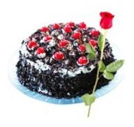 Black Forest Cake with Single Red Rose