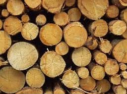 MLH Wood Logs