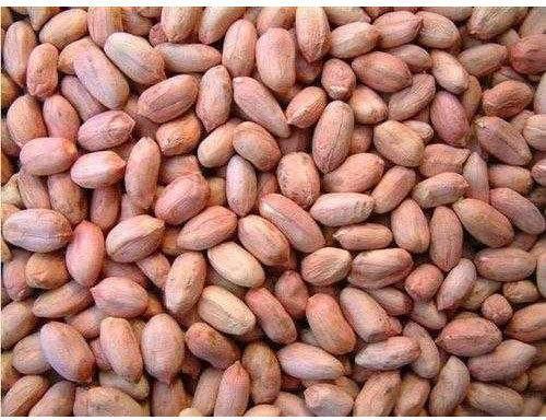 Lathiya Roasted Peanuts, for Self, Shelf Life : Long