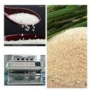 Rice Grading Services