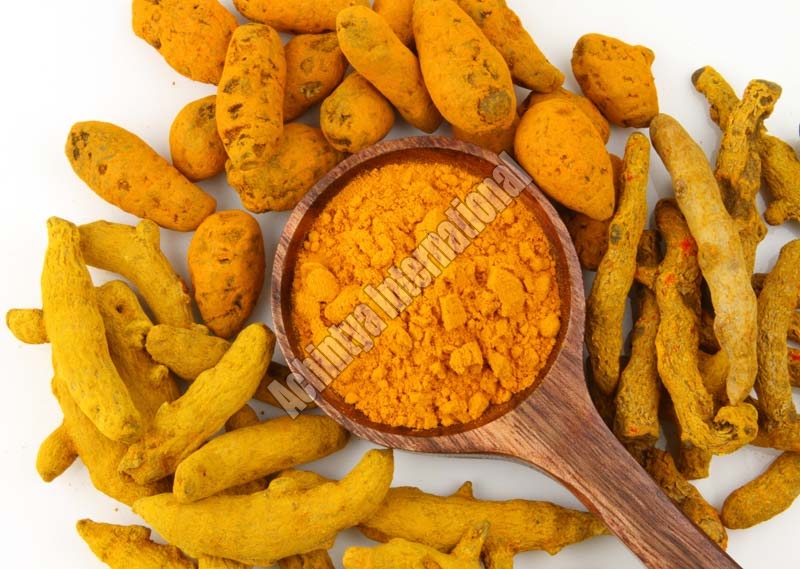 Curcuma Longa Powder