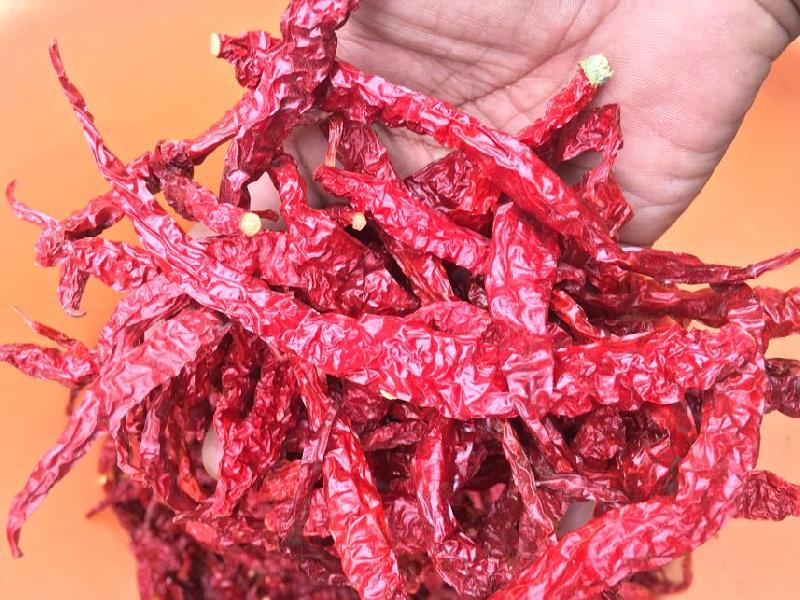 SUN DRY Byadgi Dried Red Chilli, Certification : ISO