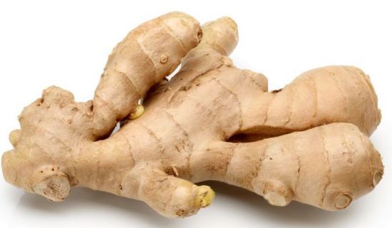 GINGER SUPPLIERS
