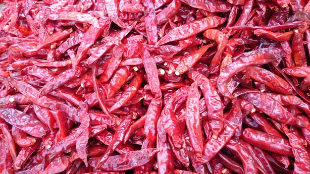 PRAMODA Sannam Dried Red Chilli, Style : DRY