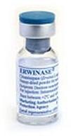 Erwinase Injection
