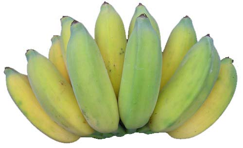 Banana Robusta In Tamil