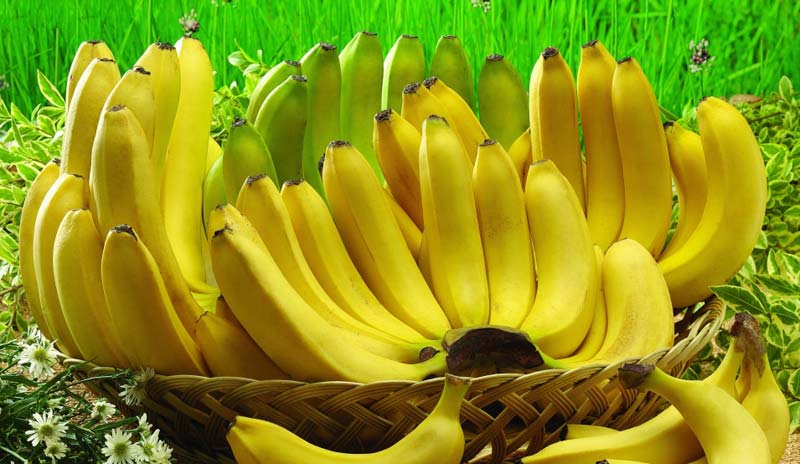 Robusta Banana In Tamil Name