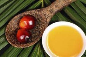 Palm Kernel Oil