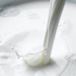 skimmed milk powder