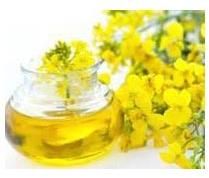 rapeseed oil