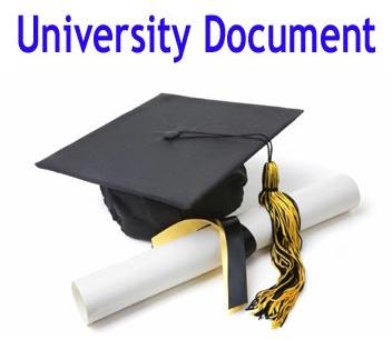 University Document Courier Services