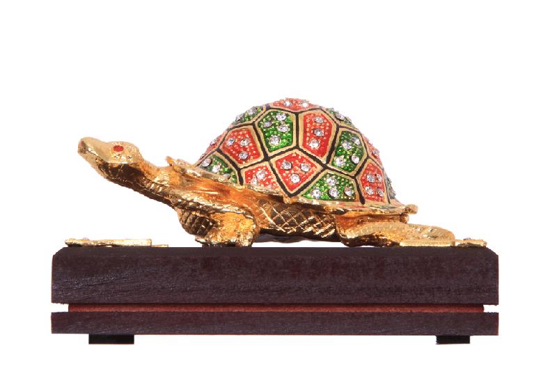 Gold Plated Round Back Tortoise