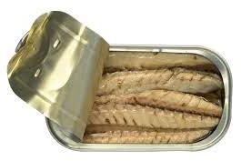 Mackerel Fillets