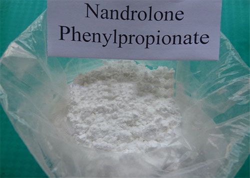Nandrolone Phenylpropionate Durabolin Bodybuilding Powder CAS: 62-90-8