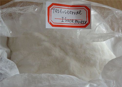Testosterone Isocaproate