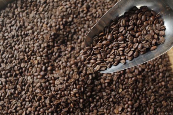 Arabica Roasted Coffee Beans