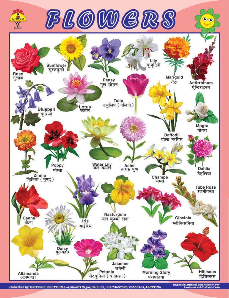 Marathi Flowers Name Chart