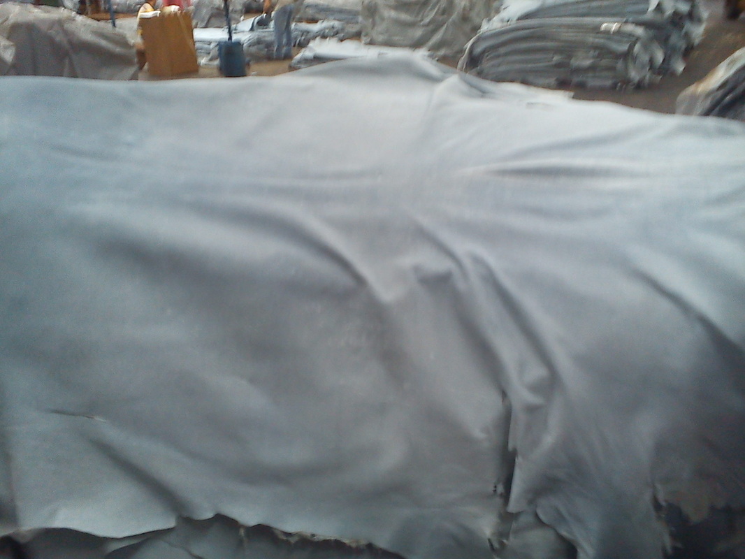 Wet Salted Sheep Skin