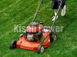 Electric Lawn Mower