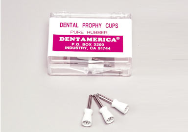 Dental Prophy Cups