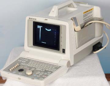 GE Black & White Ultrasound Machine (LOGIQ 100 PRO)