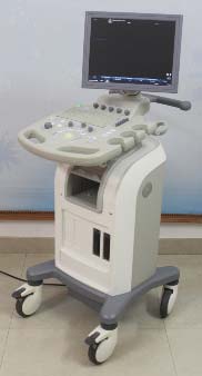 GE Black & White Ultrasound Machine (GE LOGIQ C2)
