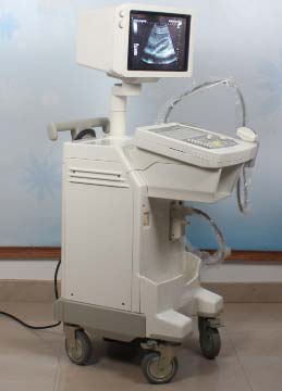 GE Black & White Ultrasound Machine (LOGIQ ALPHA 200)