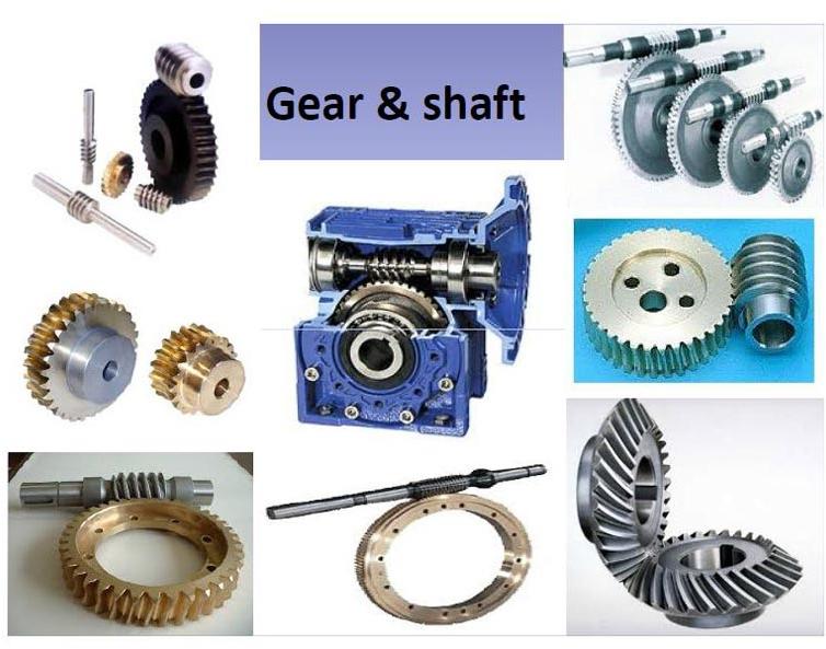 Automotive Gear &amp; Shaft