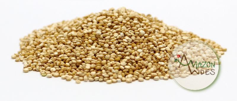 quinoa grain