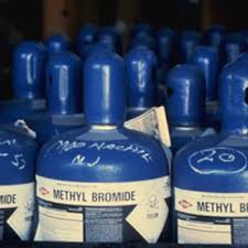 Methyl Bromide