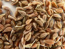 Aniseed Seeds