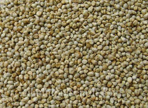  Millet Seeds, Feature : Impurities free