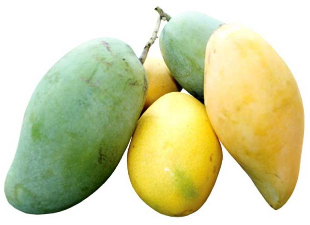  Fresh Mango,fresh mango, Packaging Type : Bulk